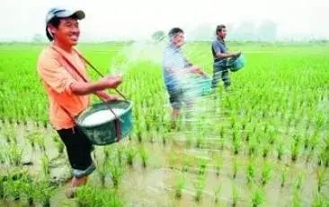 中央一號(hào)文件來(lái)了 加快農(nóng)業(yè)農(nóng)村現(xiàn)代化!連續(xù)18年聚焦三農(nóng)